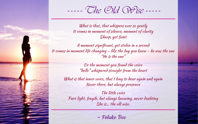 The Old Wise by Folake Bee